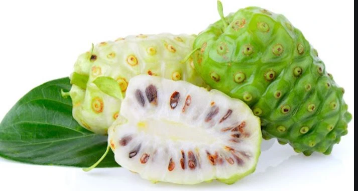 Raw material of Noni fruit powder Raw material of Noni fruit powder